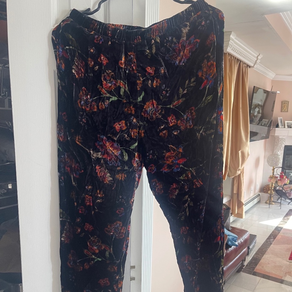 Pants